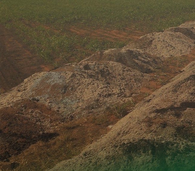 Fábrica de adubo orgânico própria